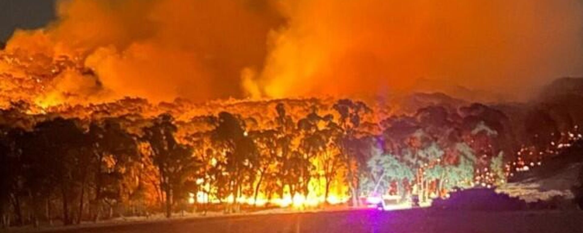 Sıcak hava dalgasının vurduğu Avustralya'da felaket seviyesinde yangın riski uyarısı - Sputnik Türkiye, 1920, 16.02.2026