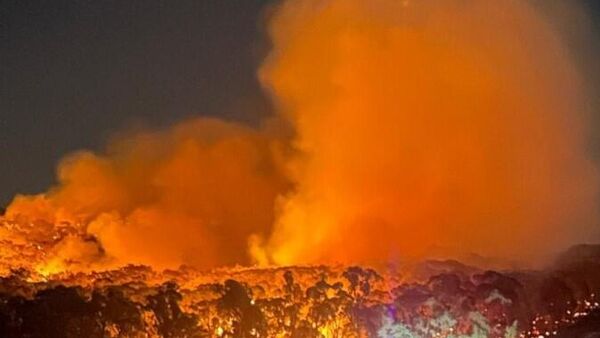 Sıcak hava dalgasının vurduğu Avustralya'da felaket seviyesinde yangın riski uyarısı - Sputnik Türkiye