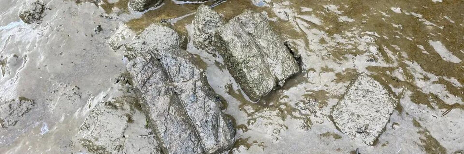 Roma sanayi bölgesi - Sputnik Türkiye, 1920, 08.01.2026