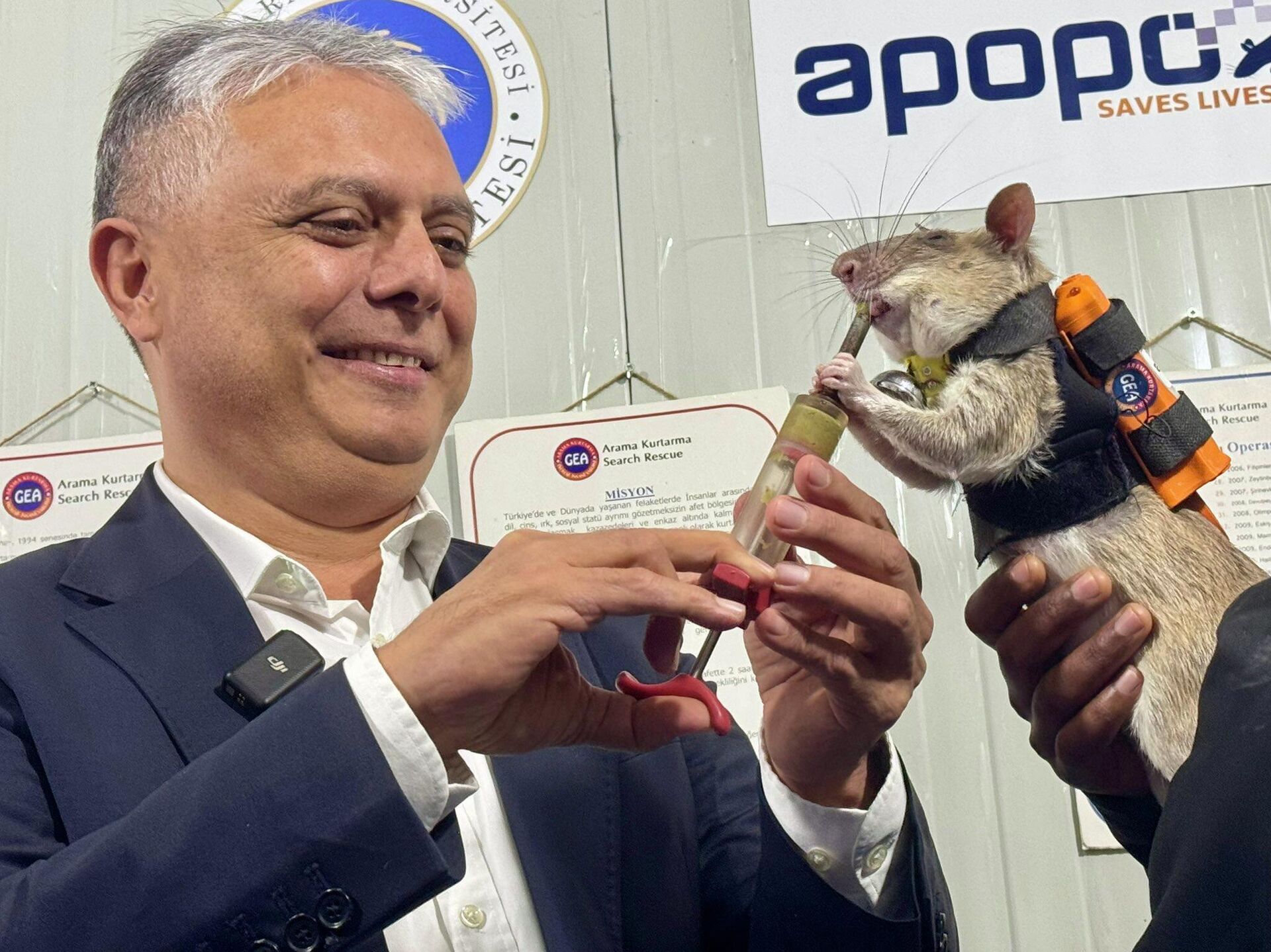 Kahraman Fareler Projesi  - Sputnik Türkiye, 1920, 08.01.2026