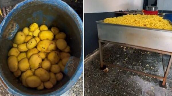 Patates cipsi - Sputnik Türkiye