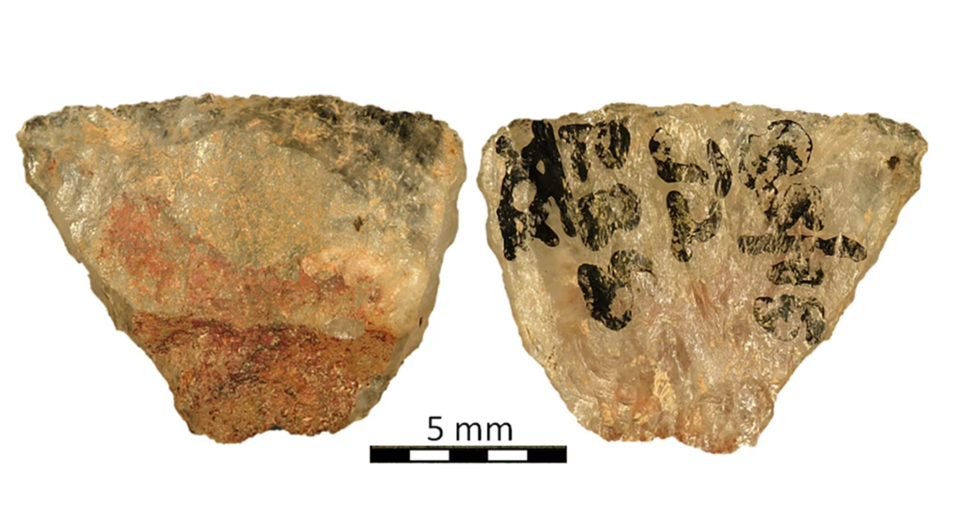 Zehirli oklar 60 bin yıl öncesine uzanıyor: Avlanma tarihi yeniden yazılıyor - Sputnik Türkiye, 1920, 10.01.2026
