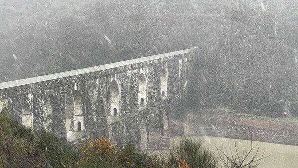 İstanbul'da sabahın erken saatlerinde başlayan kar yağışı, Kemerburgaz Kent Ormanı'nda etkisini gösterdi. - Sputnik Türkiye