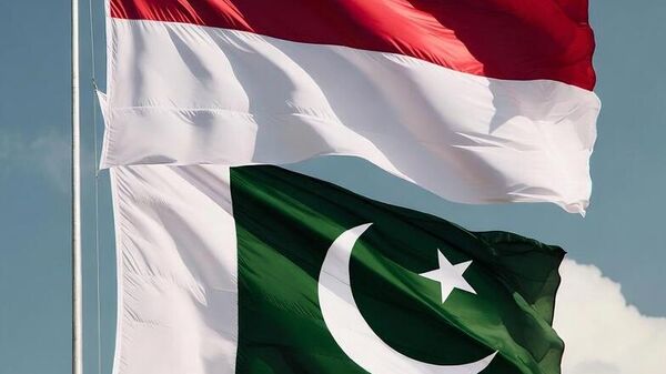 Endonezya - Pakistan - Sputnik Türkiye