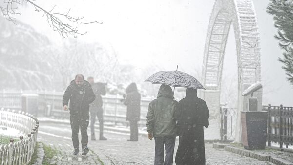 İstanbul'da kar yağışı - Sputnik Türkiye