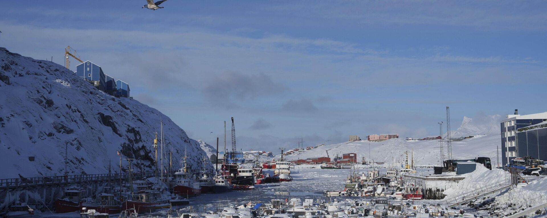 Harbour of Nuuk, Greenland, on March 4, 2025. - Sputnik Türkiye, 1920, 13.01.2026