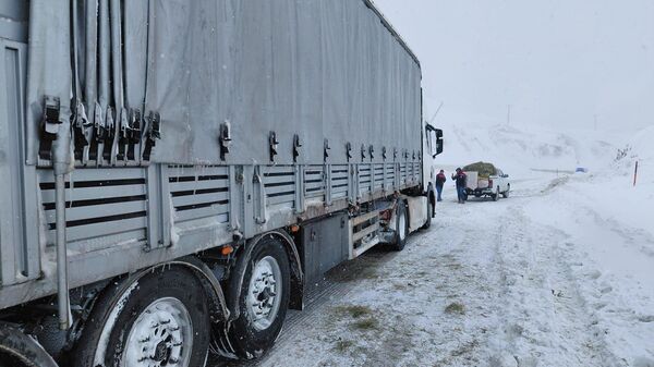 Erzurum'da yoğun kar yağışı ve tipi  - Sputnik Türkiye