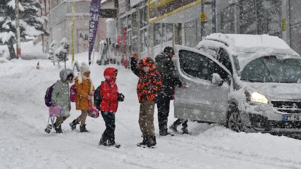 Kar yağışı - Sputnik Türkiye