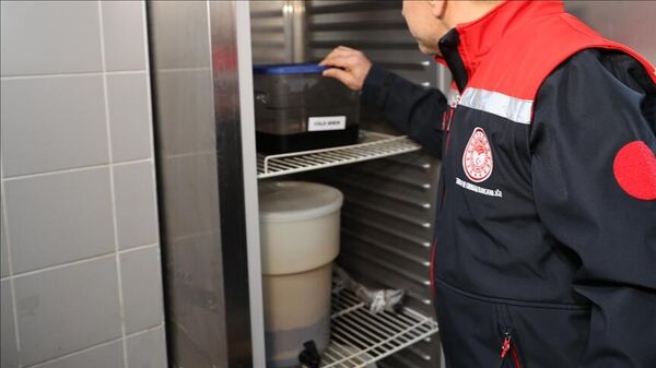 İstanbul gıda denetimi - Sputnik Türkiye