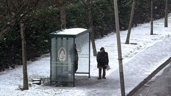 İstanbul'da kar - Sputnik Türkiye