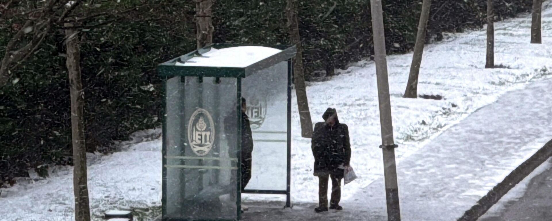 İstanbul'da kar - Sputnik Türkiye, 1920, 19.01.2026