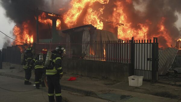 Şili orman yangını felaketi - Sputnik Türkiye