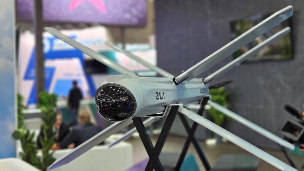 Lancet-E - Sputnik Türkiye