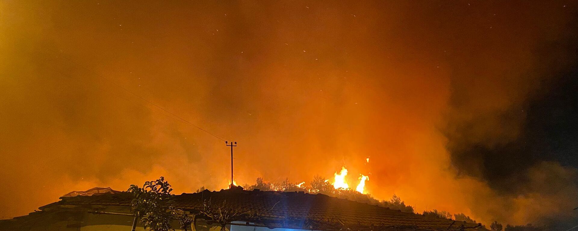 Antalya'da orman yangını  - Sputnik Türkiye, 1920, 19.01.2026
