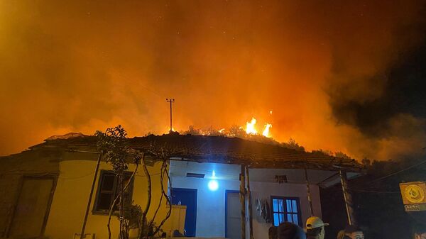 Antalya'da orman yangını  - Sputnik Türkiye