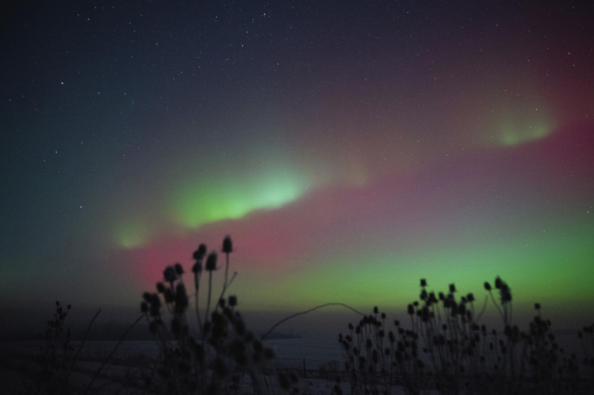 Kutup Işıkları - Sputnik Türkiye, 1920, 20.01.2026
