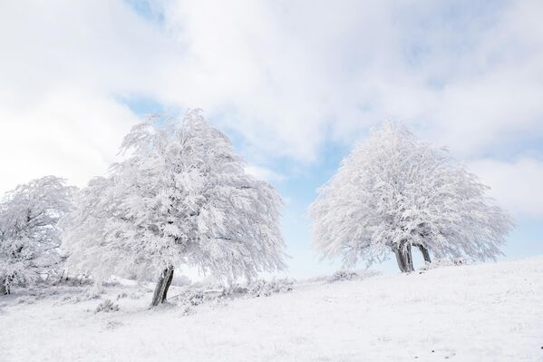 Kentin yüksek kesimlerinde iki gündür etkili olan kar yağışının ardından soğuk hava etkisini sürdürüyor. Kentin yüksek kesimlerinde iki gündür etkili olan kar yağışının ardından soğuk hava etkisini sürdürüyor. - Sputnik Türkiye