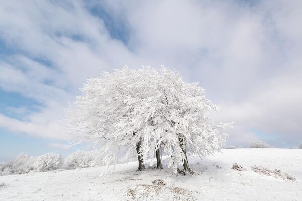 Bölgede kar yağışı devam ederken hava sıcaklığı 0 derecede seyretti. Bölgede kar yağışı devam ederken hava sıcaklığı 0 derecede seyretti. - Sputnik Türkiye