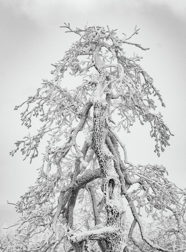 Mahyatepe mevkisinde hava sıcaklığı gündüz 5 derece ölçüldü. Mahyatepe mevkisinde hava sıcaklığı gündüz 5 derece ölçüldü. - Sputnik Türkiye