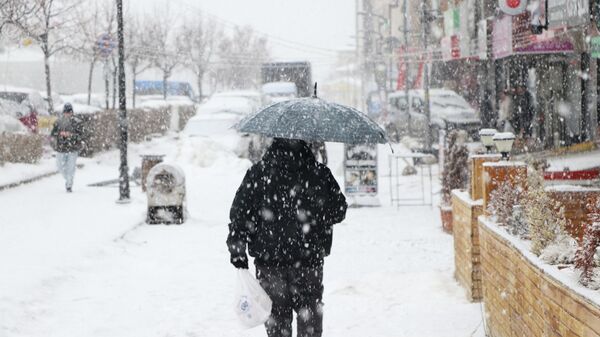 Kar yağışı - Sputnik Türkiye