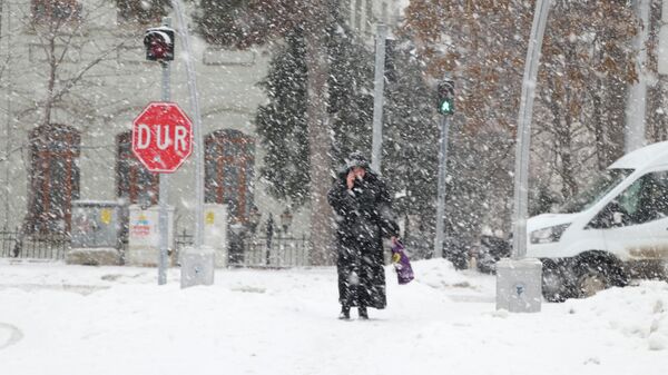 Kar yağışı - Sputnik Türkiye