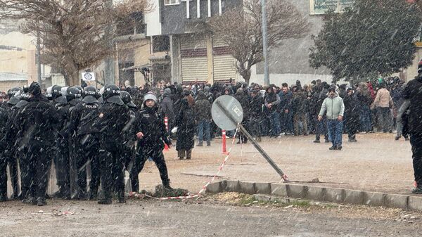 Gösteri yürüyüşü - Sputnik Türkiye