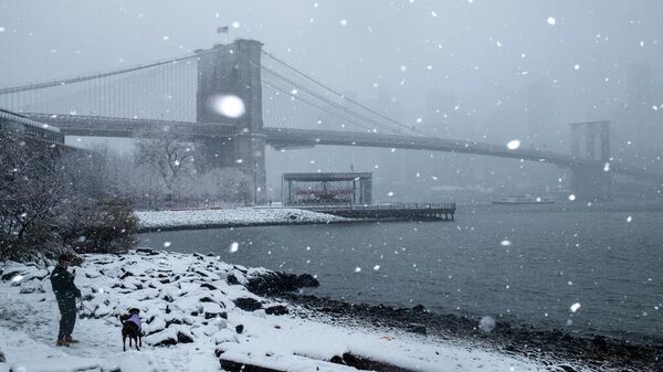 Brooklyn'de kar yağışı - Sputnik Türkiye