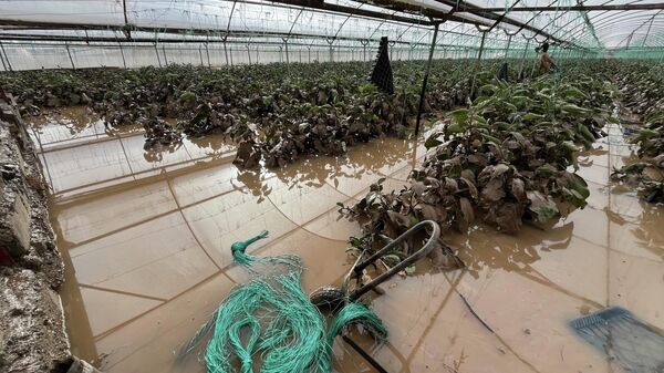 Antalya'da sağanak sele yol açtı: Sera ve tarım arazileri su altında, hasar tespiti yapılıyor - Sputnik Türkiye