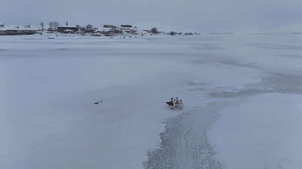 Bitlis'teki Nazik Gölü'nün yüzeyi buzla kaplandı - Sputnik Türkiye