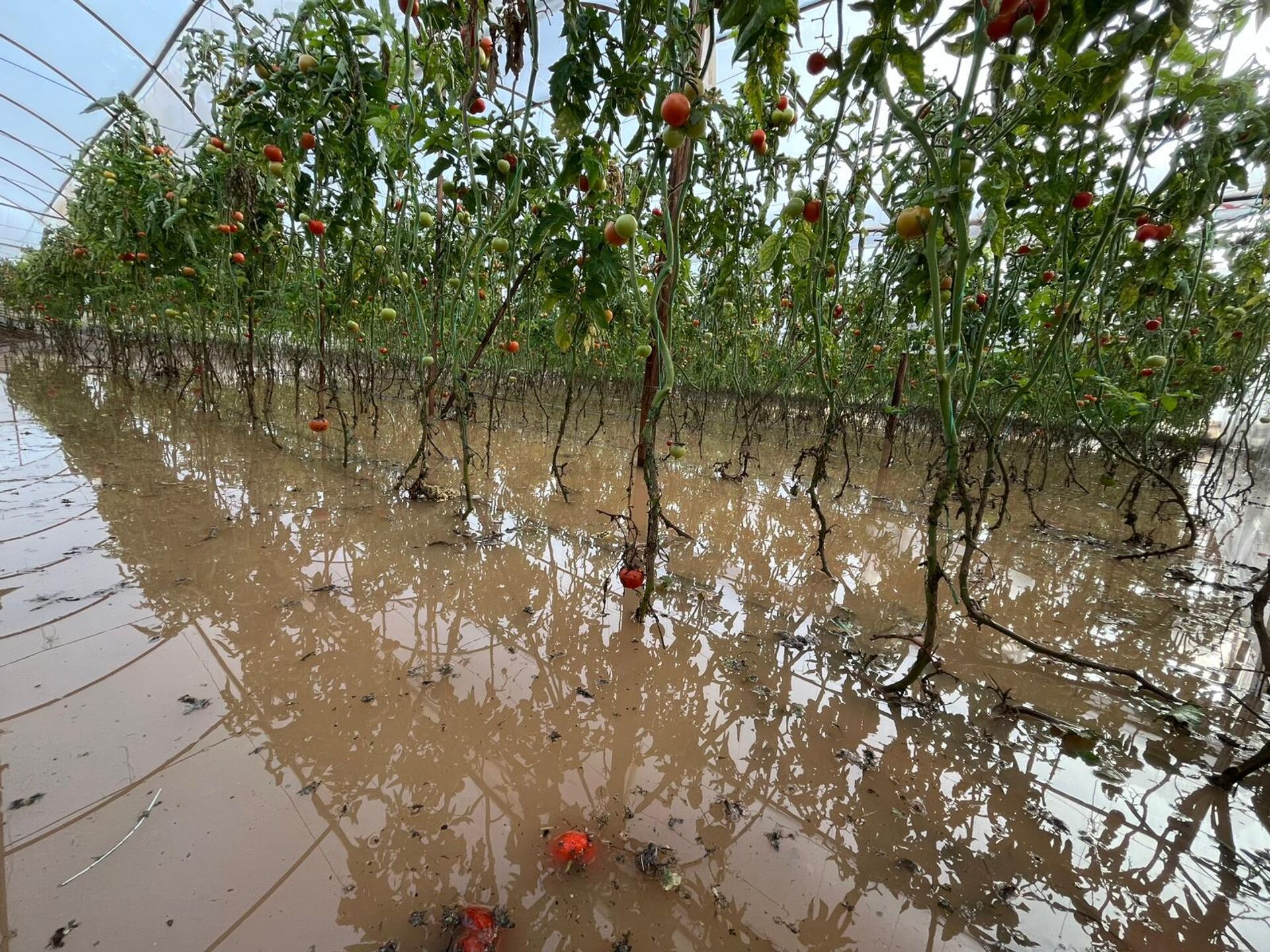 Antalya - Sputnik Türkiye, 1920, 24.01.2026