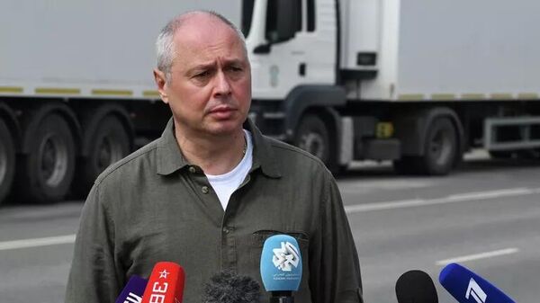 Aleksandr Zorin - Sputnik Türkiye