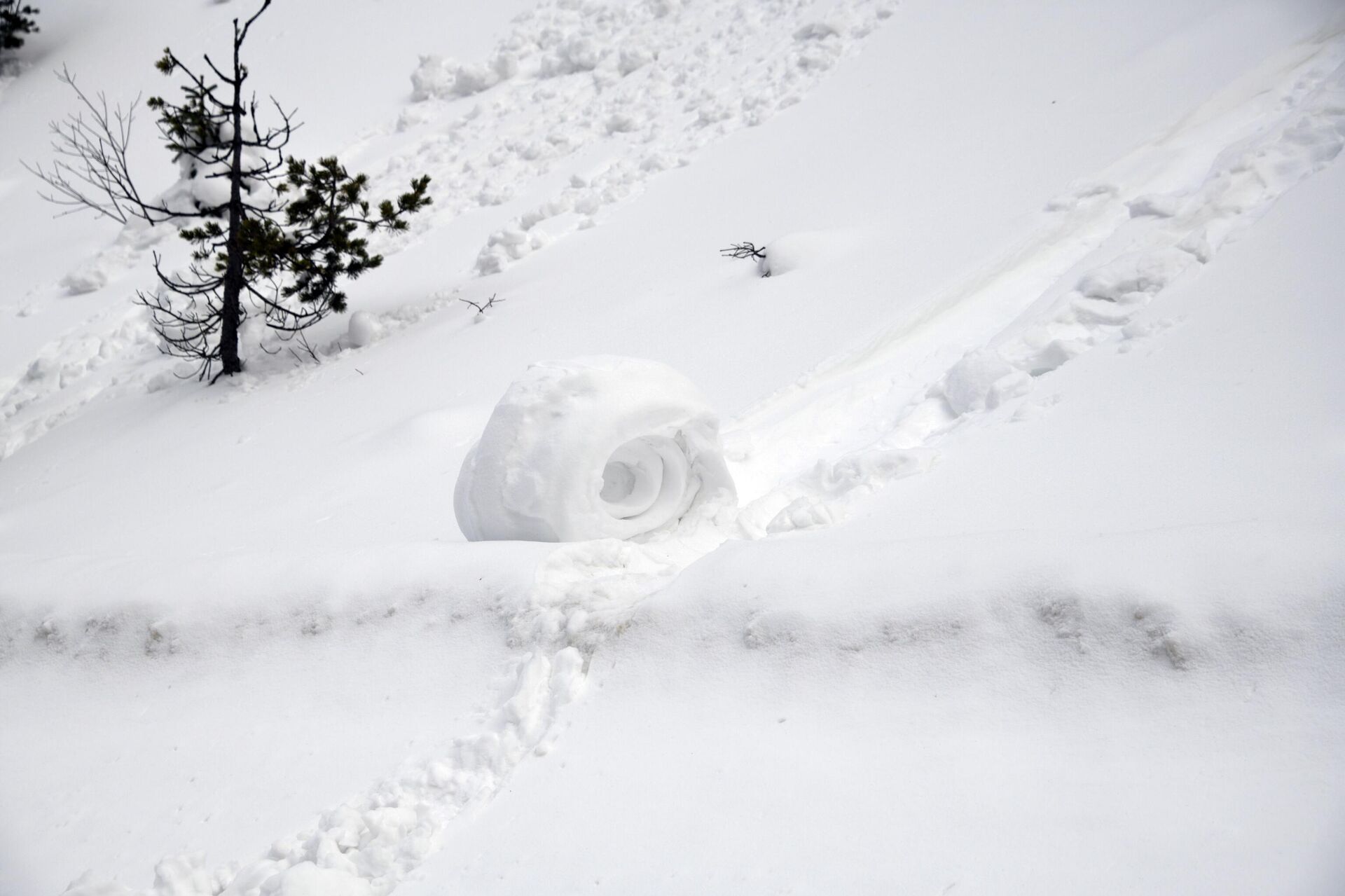 Kar rulosu - Sputnik Türkiye, 1920, 26.01.2026