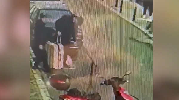 Şişli’de cesedi çöp konteynerinde bulunan kadın - Sputnik Türkiye