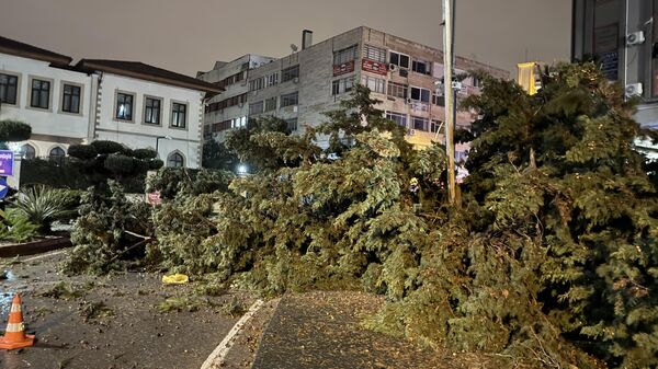Antalya'da, fırtına ve kuvvetli yağış, hayatı olumsuz etkiledi - Sputnik Türkiye