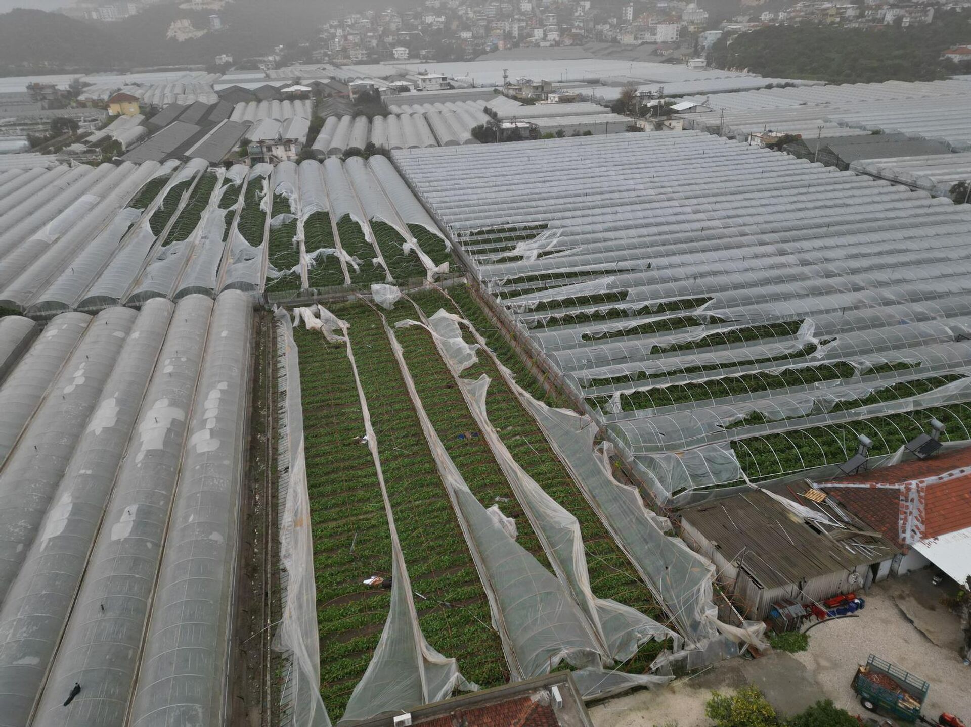 Antalya'nın Demre ilçesinde yaşanan hortumun zarar verdiği seralarda hasar tespit çalışmaları başladı. - Sputnik Türkiye, 1920, 27.01.2026