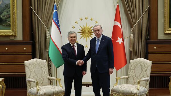 Cumhurbaşkanı Recep Tayyip Erdoğan ve Özbekistan Cumhurbaşkanı Şevket Mirziyoyev - Sputnik Türkiye