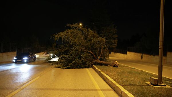 Denizli'nin Pamukkale ve Merkezefendi ilçelerinde kuvvetli rüzgar, yaşamı olumsuz etkiledi - Sputnik Türkiye