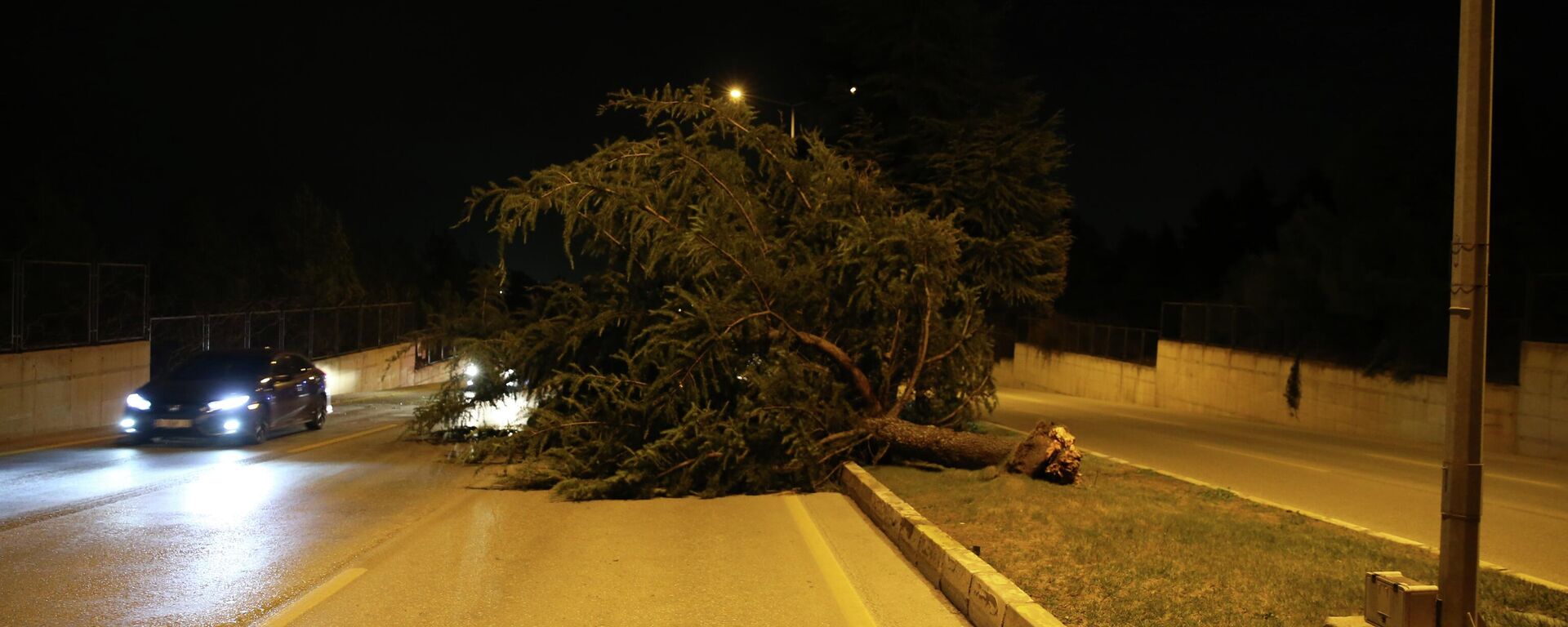 Denizli'nin Pamukkale ve Merkezefendi ilçelerinde kuvvetli rüzgar, yaşamı olumsuz etkiledi - Sputnik Türkiye, 1920, 30.01.2026