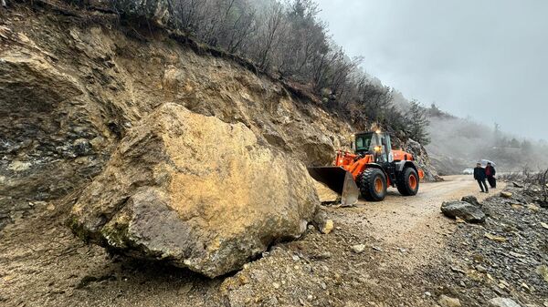 Adana'da yola kaya düştü - Sputnik Türkiye