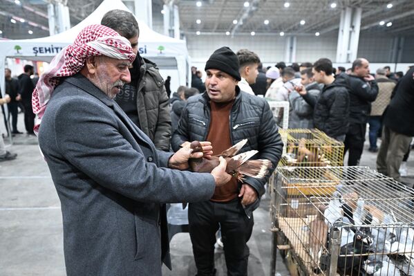 Şehitkamil Belediye Başkanı Umut Yılmaz, etkinlikte yaptığı konuşmada kuşçulara yönelik yeni projelerinden bahsederek, "Kuş Pazarı'nın arka kısmına yem merkezi kuracağız. Kuşçular yemlerini buradan alacak. Seçim öncesi verdiğimiz sözleri yerine getireceğiz" dedi. - Sputnik Türkiye