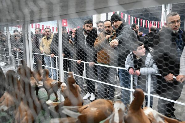 Gaziantep Güvercin Sevenler Derneği Başkanı Hakan Göğüş, Yılmaz'a verdiği destek için teşekkür etti. - Sputnik Türkiye