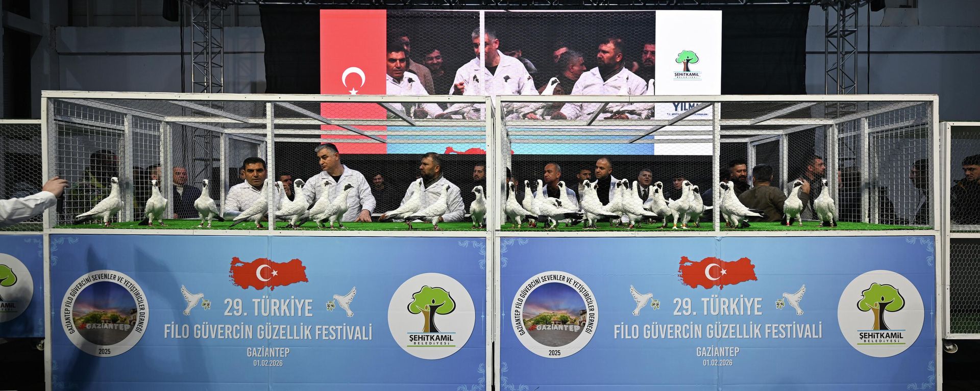Gaziantep'te güvercin güzellik yarışması düzenlendi - Sputnik Türkiye, 1920, 01.02.2026