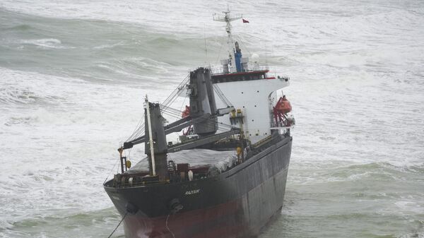 Komor Adaları bayraklı kargo gemisi Sarıyer'de karaya oturdu - Sputnik Türkiye