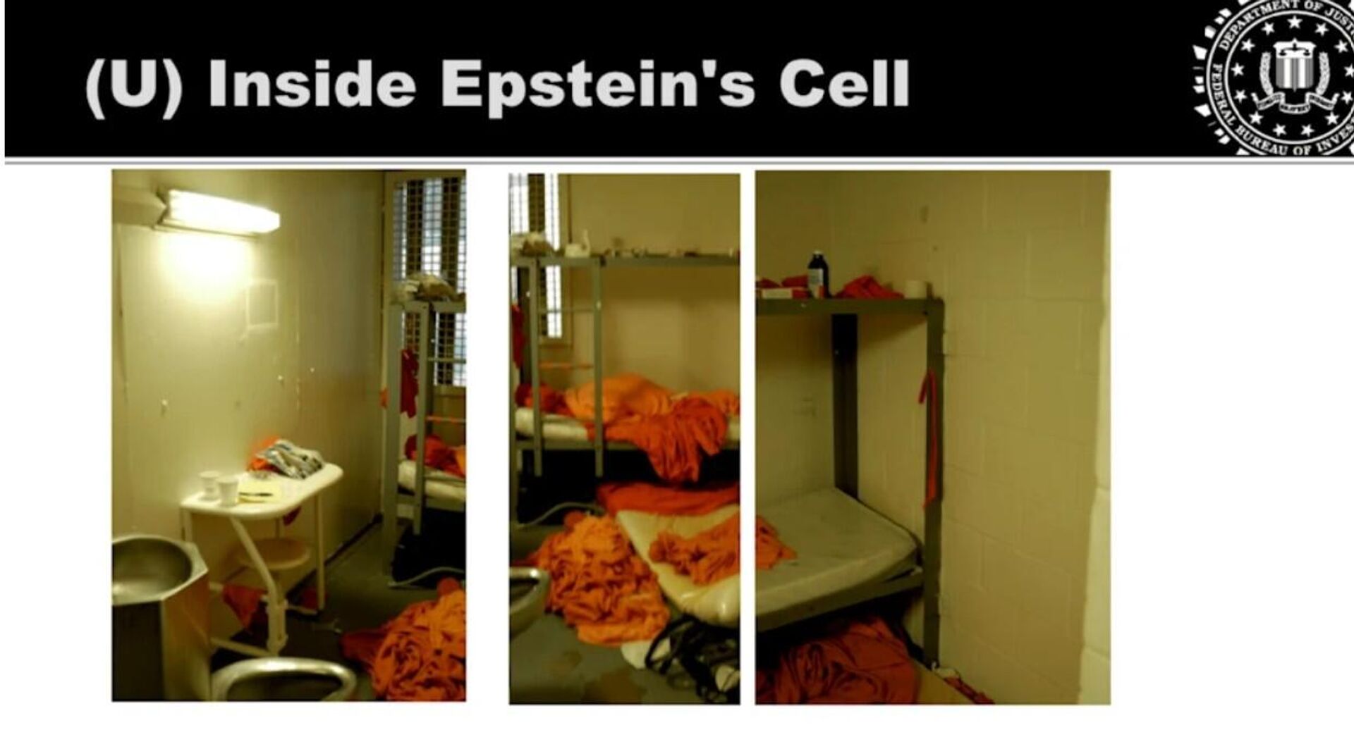 Epstein'ın hücresi - Sputnik Türkiye, 1920, 04.02.2026