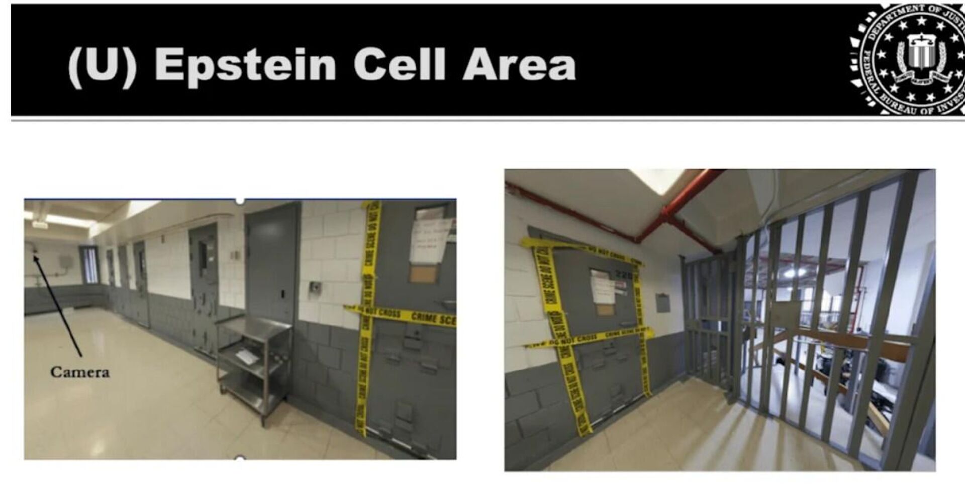 Epstein hücresi - Sputnik Türkiye, 1920, 04.02.2026