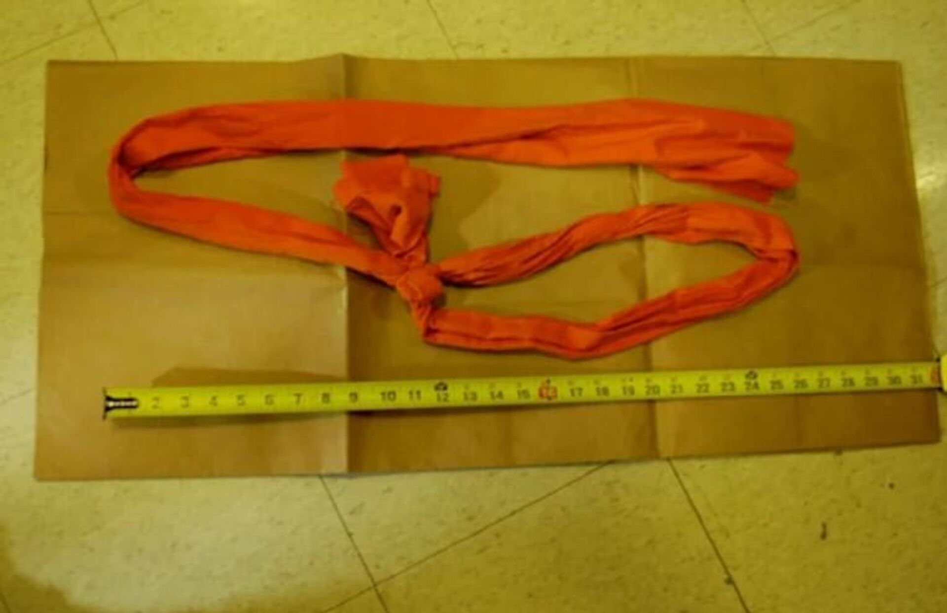 Epstein'ın kendini astığı iddia edilen ip - Sputnik Türkiye, 1920, 04.02.2026