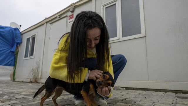 Viral videonun arka planını anlattı: İşte milyonların izlediği Boncuk'un  hikâyesi - 04.02.2026, Sputnik Türkiye