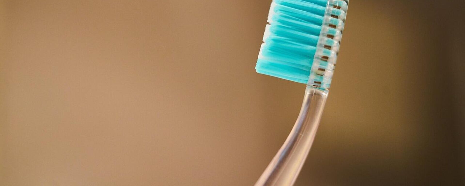 Diş fırçası - Sputnik Türkiye, 1920, 07.02.2026