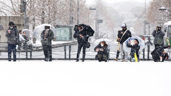Japonya'da seçimler - Sputnik Türkiye