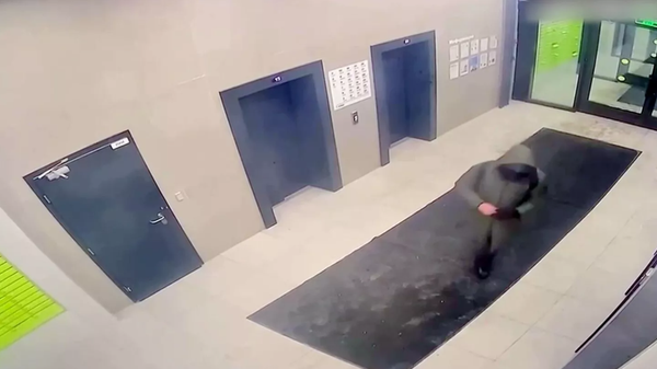 Korgeneral Alekseyev'e yönelik suikast girişiminin tetikçisi - Sputnik Türkiye